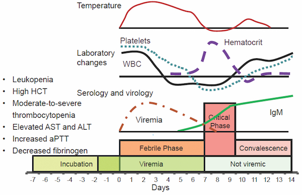 Dengue Fever - Defence Journal